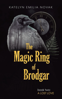 The Magic Ring of Brodgar: Book two: a lost love
