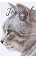 Journal, Cats Kittens Kitty, Diary for Thoughts, Ideas, and Dreams, 6x9