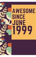 Awesome Since June 1999 Notebook Birthday Gift