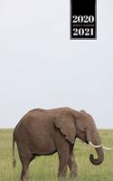 Elephant Mammoth Week Planner Weekly Organizer Calendar 2020 / 2021 - Stand on Meadow