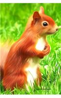 Squirrel Notebook