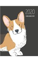 2020 Corgi Dark Spot