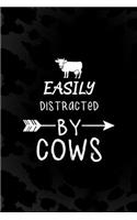 Easily Distracted By Cows