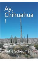 Ay, Chihuahua !