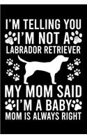 I'm Telling You I'm not A Labrador Retriever My Mom Said I'm A Baby Mom Is Always Right