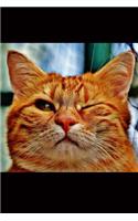 Kitty Cat Wink - And I Dare Say, He's Winking at You Journal