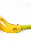Banana Peel Notebook