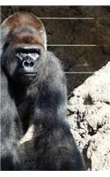 Gorilla Notebook - Journal Gift for Cute Animal Lovers