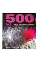 500 Cacti