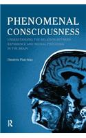 Phenomenal Consciousness