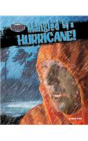 Mangled by a Hurricane!