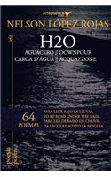 H2O