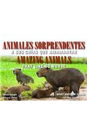 Animales Sorprendentes / Amazing Animals