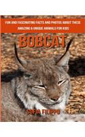 Bobcat