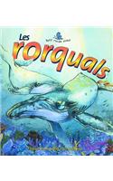 Les Rorquals