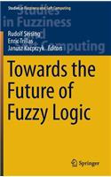 Towards the Future of Fuzzy Logic: Towards the Future