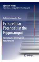 Extracellular Potentials in the Hippocampus
