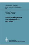 Prenatal Gliogenesis in the Neopallium of the Rat