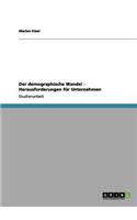 Der demographische Wandel - Herausforderungen für Unternehmen: (German)