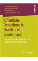 Öffentliche Verwaltung in Brasilien Und Deutschland