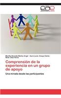 Comprension de La Experiencia En Un Grupo de Apoyo