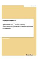 Systematischer Überblick über Förderungsmöglichkeiten für Unternehmen in der BRD