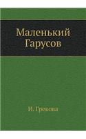 Malenkij Garusov