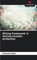 Mining framework in Guinea: Investor protection