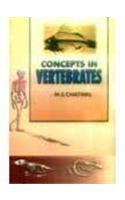 Concepts in Vertebrates