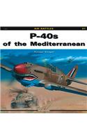 P-40s of the Mediterranean