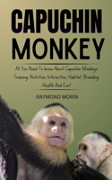 Capuchin Monkey