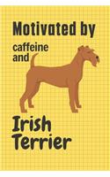 Motivated by caffeine and Irish Terrier