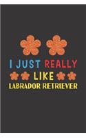 I Just Really Like Labrador Retriever