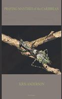 Praying Mantises of the Caribbean