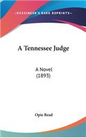 A Tennessee Judge: A Novel (1893)