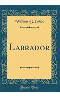 Labrador (Classic Reprint)