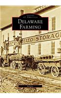 Delaware Farming