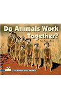 Do Animals Work Together?