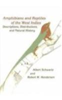 Amphibians and Reptiles of the West Indies