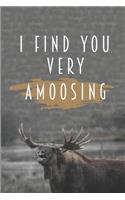 I Find You Very Amoosing