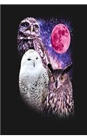 Owl Notebook