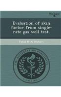 Evaluation of Skin Factor from Single-Rate Gas Well Test