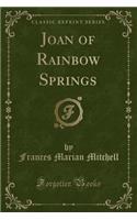 Joan of Rainbow Springs (Classic Reprint)