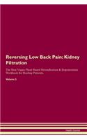 Reversing Low Back Pain: Kidney Filtration The Raw Vegan Plant-Based Detoxification & Regeneration Workbook for Healing Patients. Volume 5