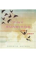 Tiny Sunbirds, Far Away