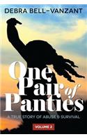 One Pair of Panties The Revised Book - Series 2 Vol 2