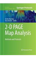 2-D Page Map Analysis