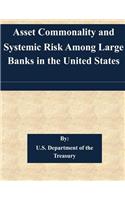 Asset Commonality and Systemic Risk Among Large Banks in the United States