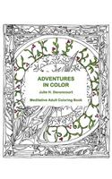 Adventures in Color: Meditative Adult Coloring Book