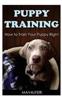 Puppy Training